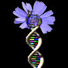 Natural science DNATREE100.GIF, 4 kB