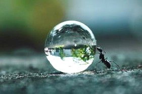droplet.jpg, 12kB