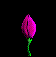 FLOWERR