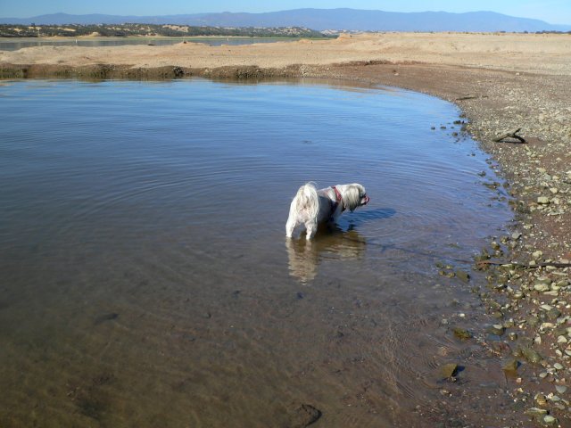 LexyWater.jpg, 59kB
