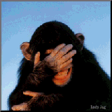 Monkeyh.gif, 10kB