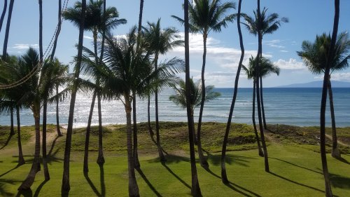 2020Maui0212_171713.jpg, 43kB