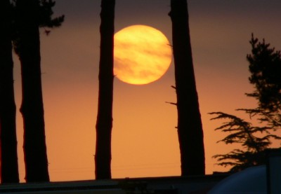 Sun-Fog.jpg, 19kB