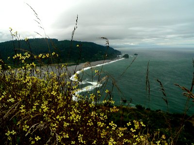 COAST