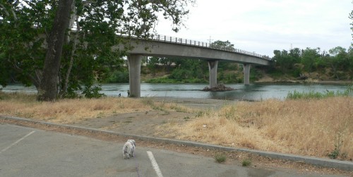 Bridge.jpg, 40kB