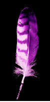 FEATHERP