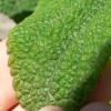 CONFERTLOGO CONFERTLOGO.JPG, 11 kB