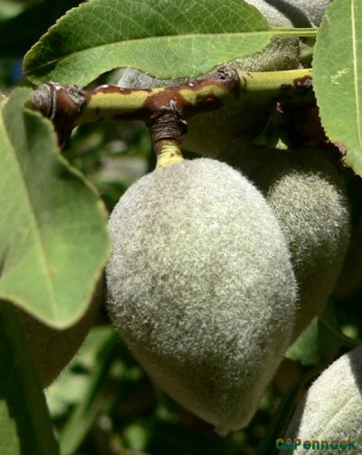2007.08.05 NUT