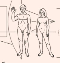 6Pioneer.jpg, 8 kB