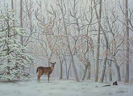 DeerImag.jpg, 35 kB