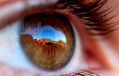EyeOfBeholder.jpg, 14 kB