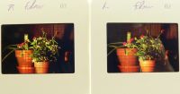 SterioFlow1990.jpg, 4 kB