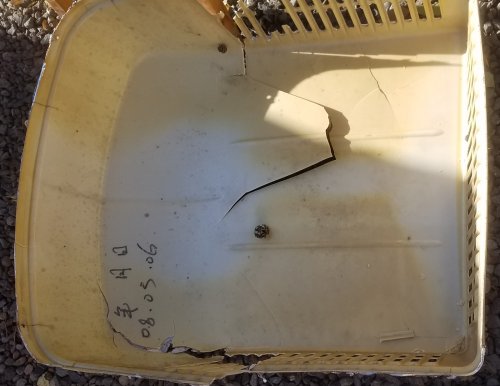 AC-Shroud20191104.jpg, 31kB
