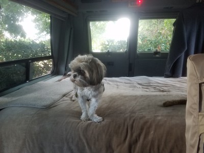 V-Bed.jpg, 29kB